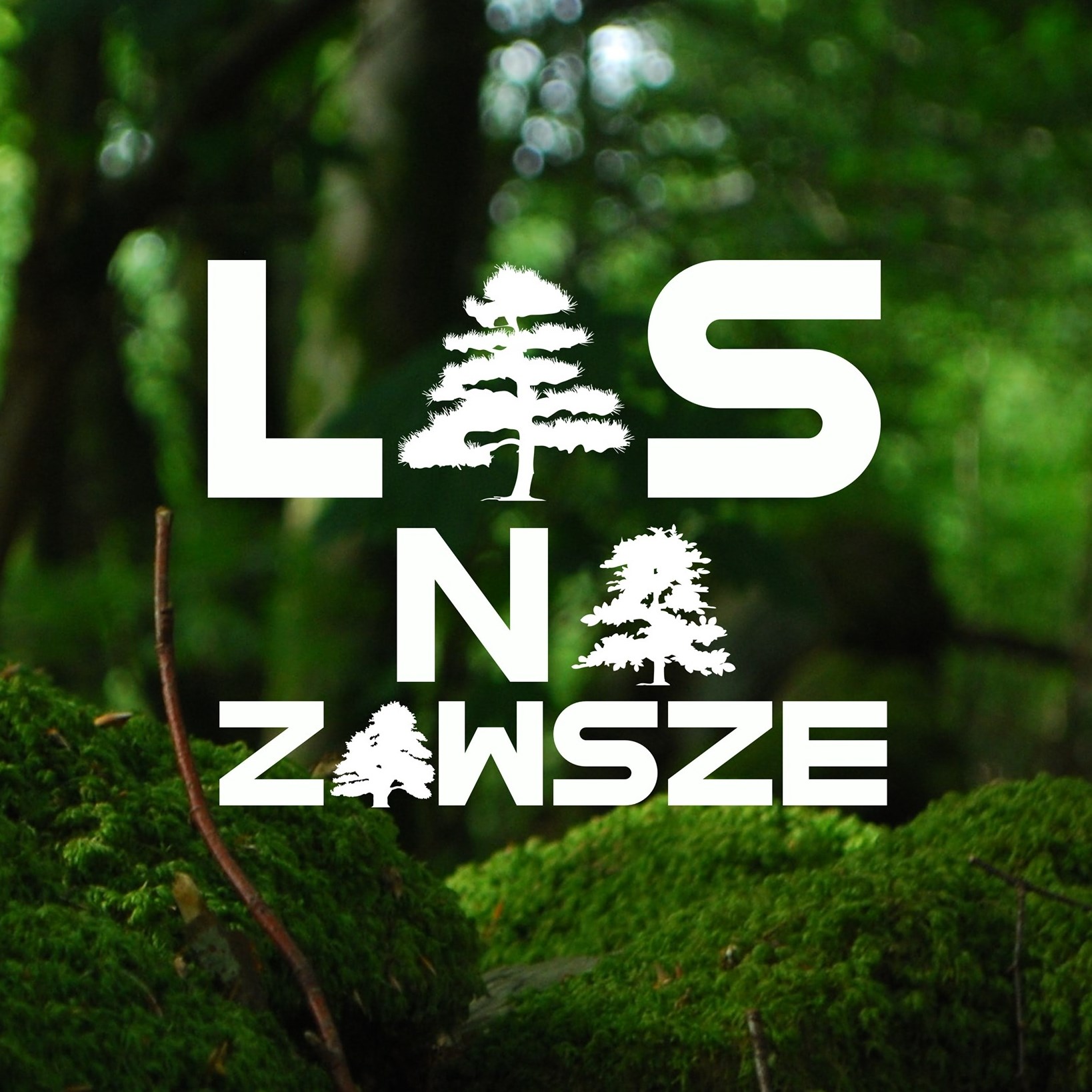 Las na zawsze
